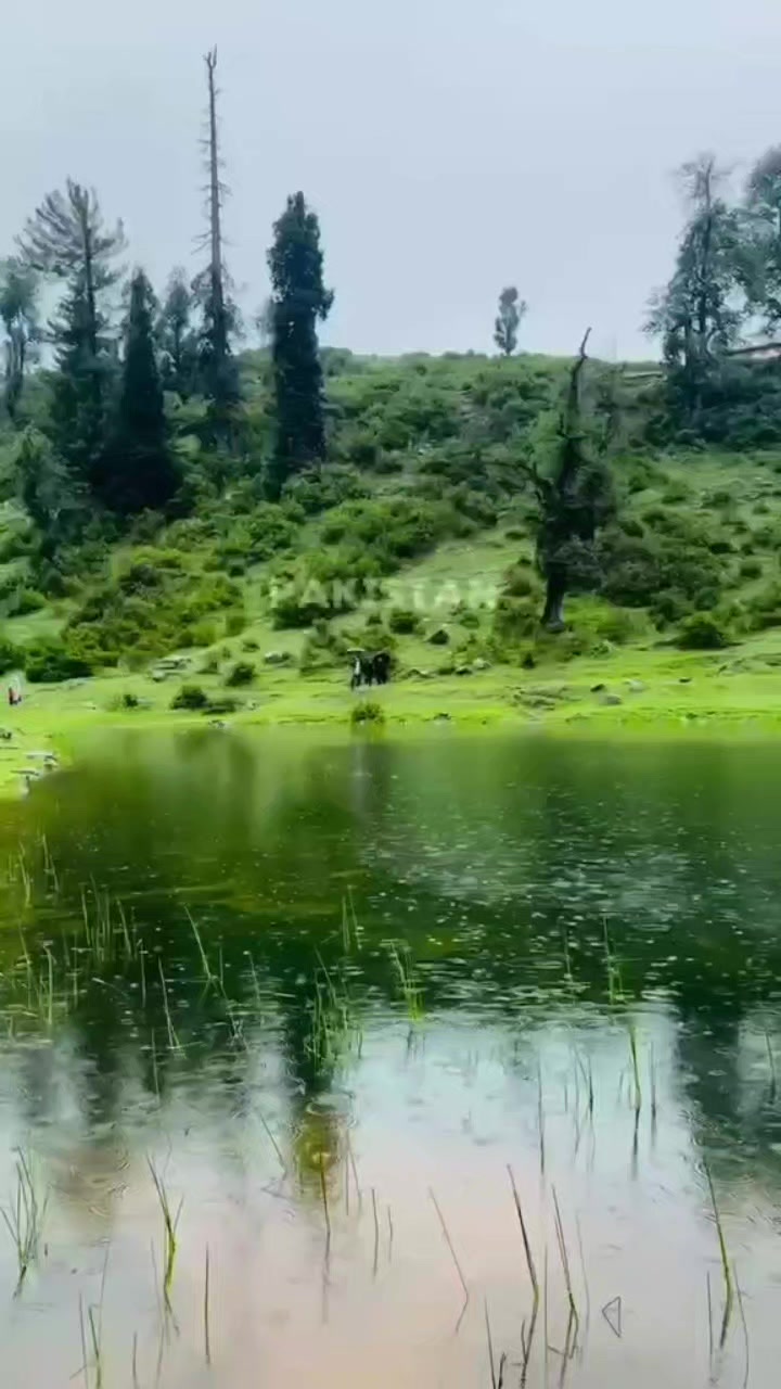 @𝐑𝐍 𝐅𝐎𝐎𝐃𝐒
