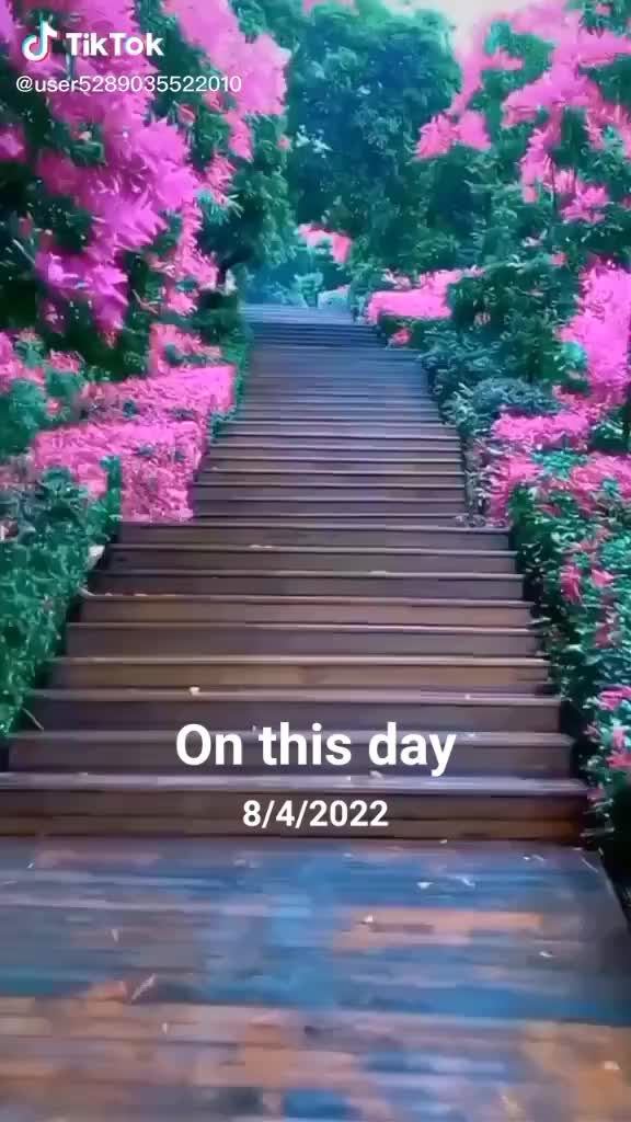 @cute ayesha 65