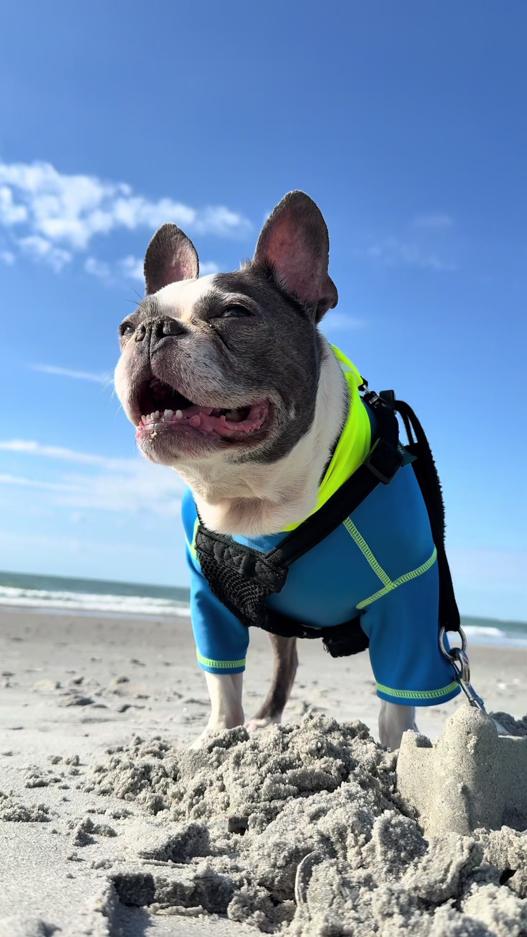 @Hugo_the_Frenchton