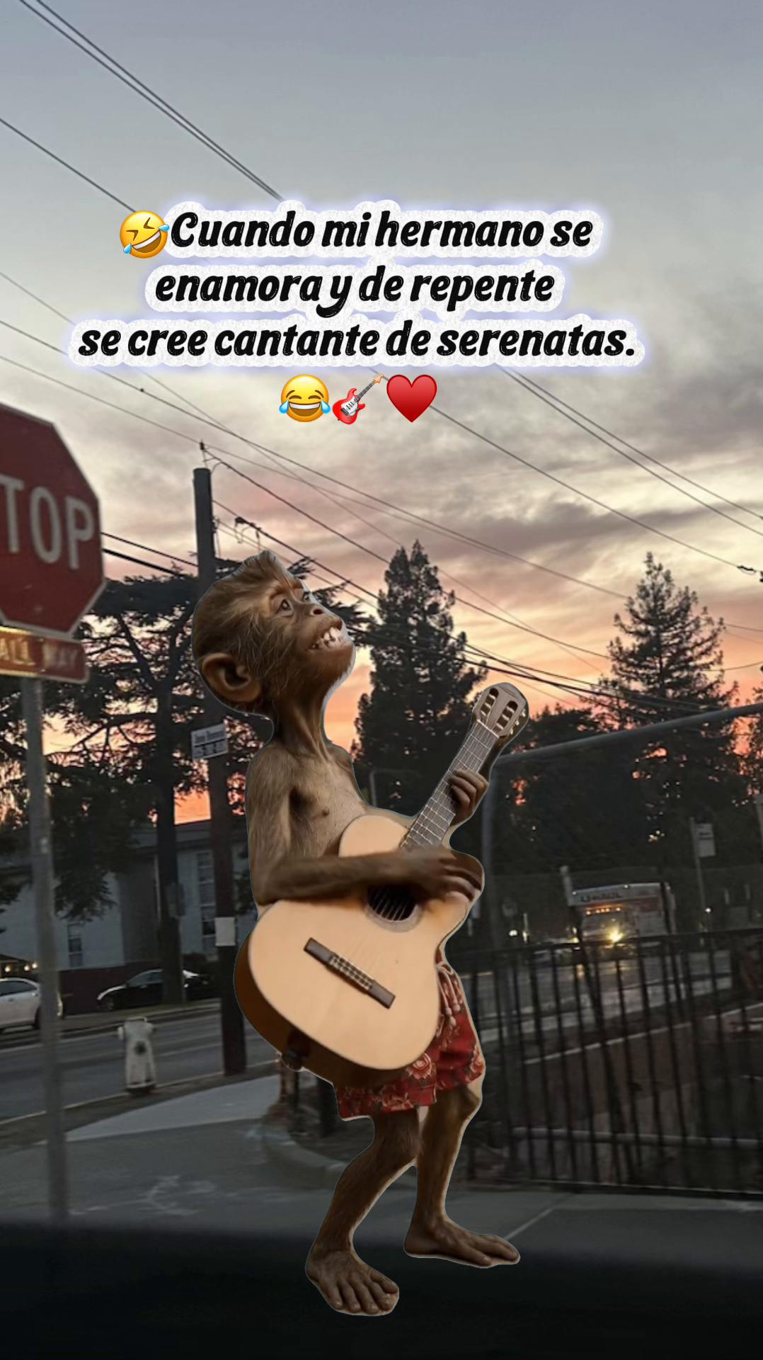 @🌸🦋Claudy🦋🌸