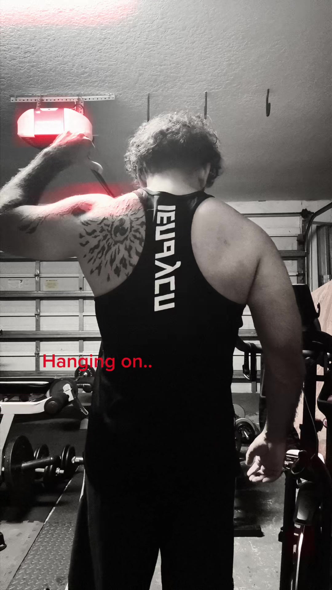 @DansTheRipper