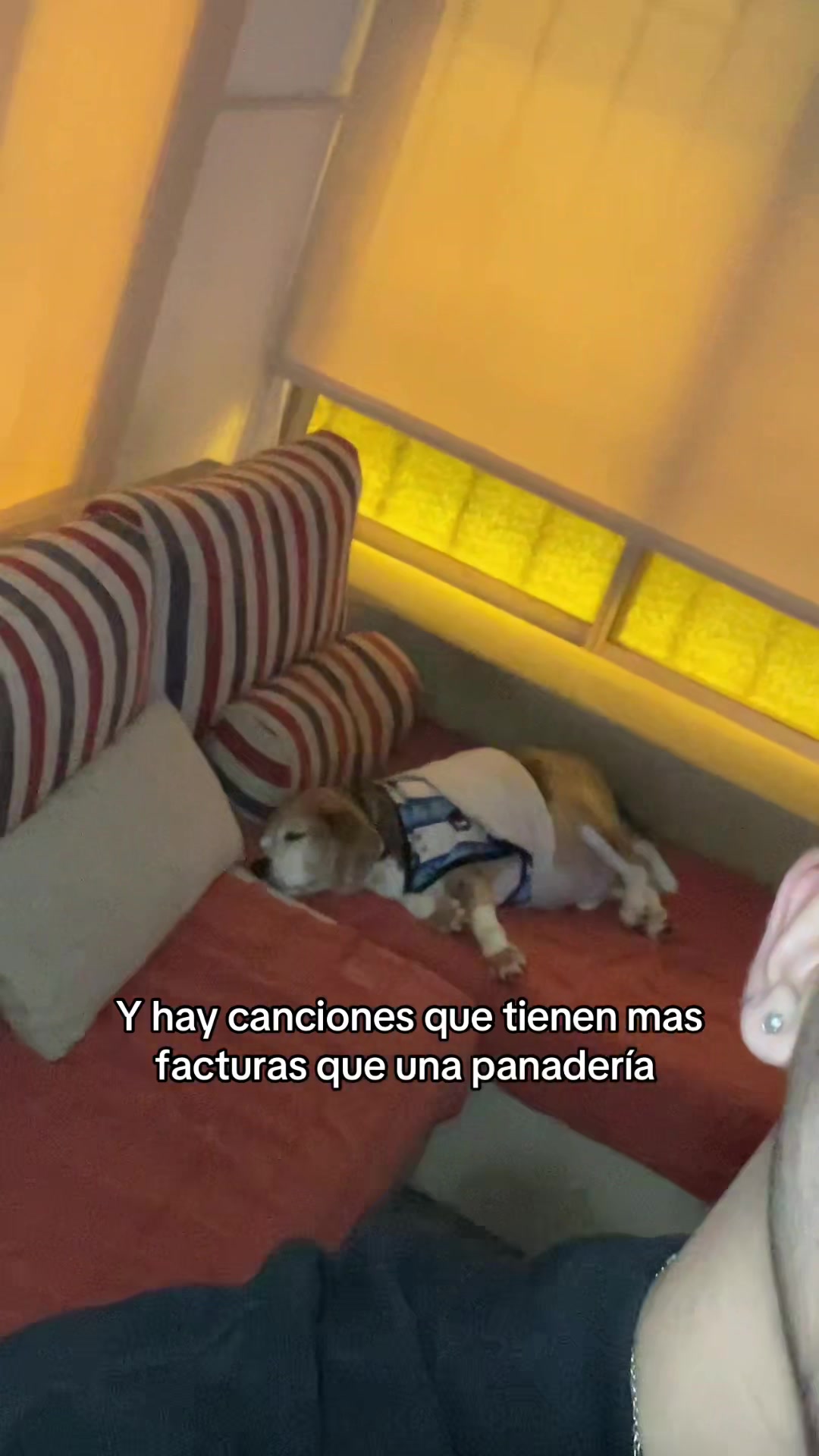 @Thyago Rojas