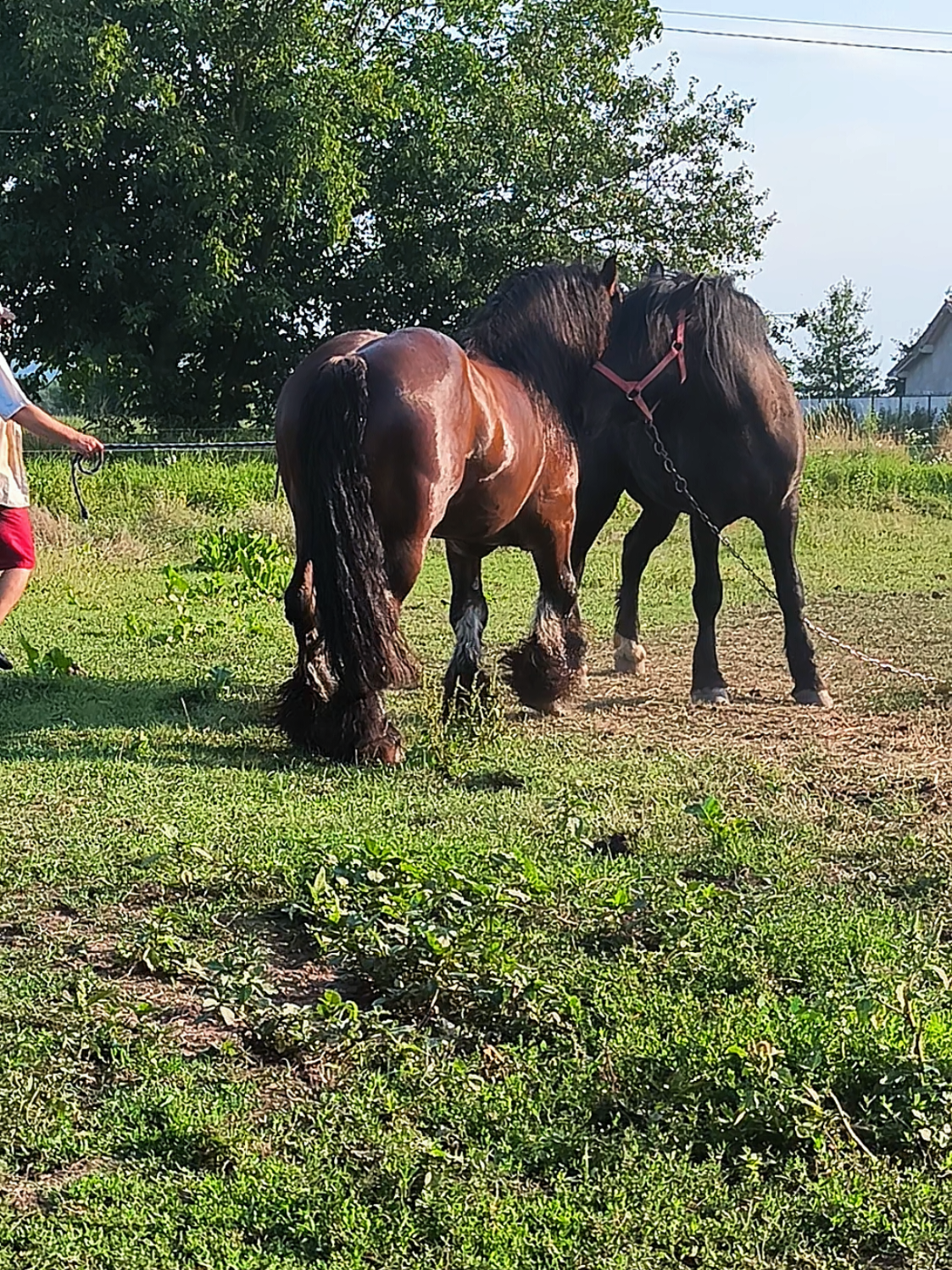 @ВАСЯ БОЙЧУК 🐎