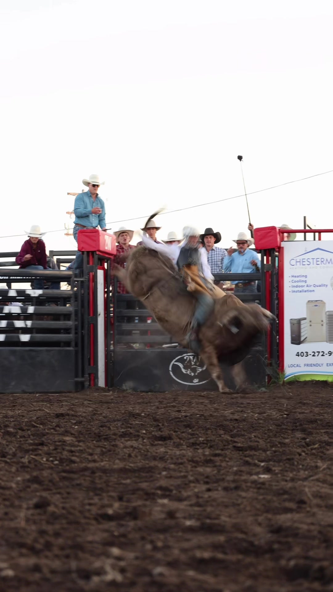 @Lazy P Rodeo