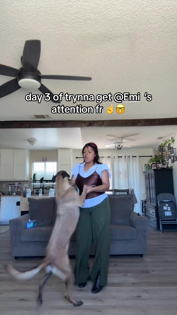 @alexa