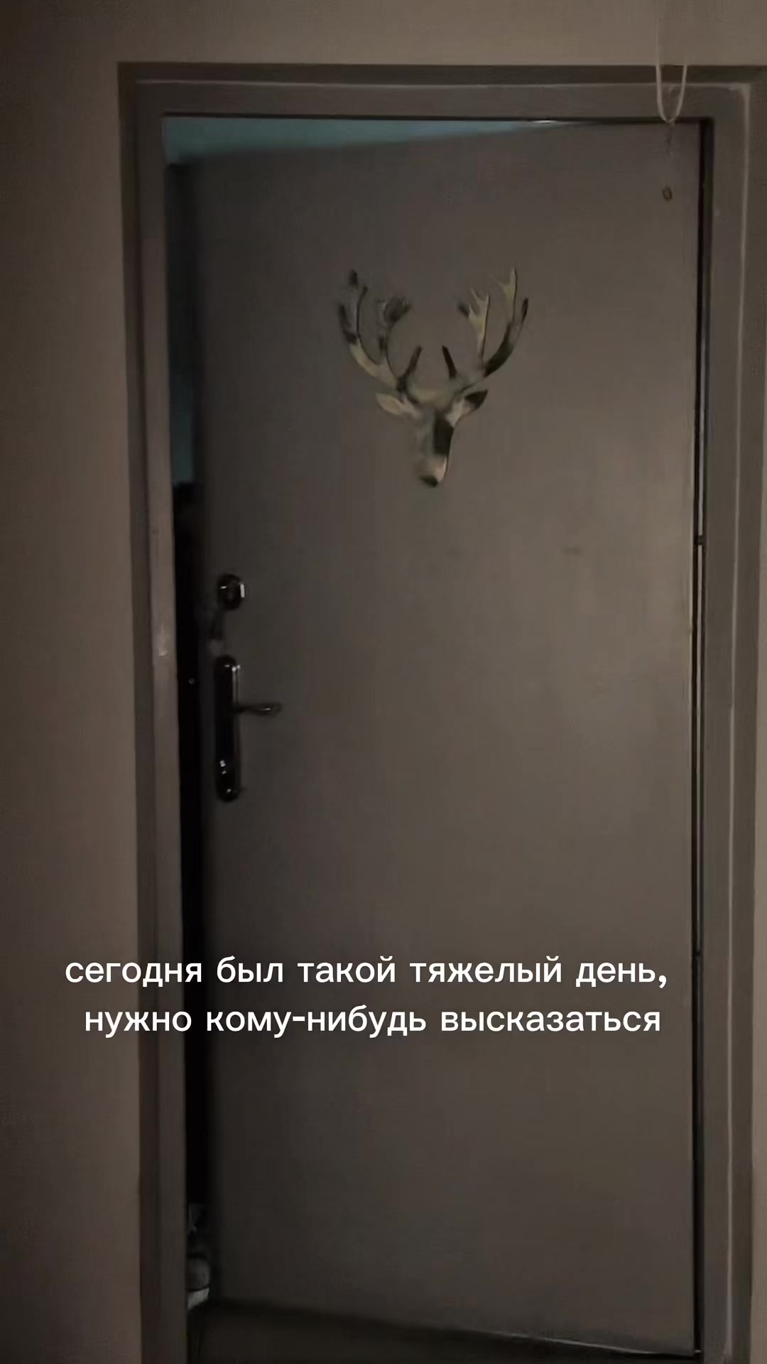 @lyalichka8