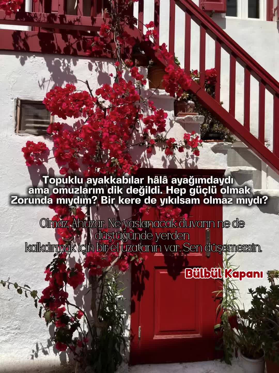 @ᴇʟᴢᴇᴍ ᴀᴋᴀʏ™᭕.꙳