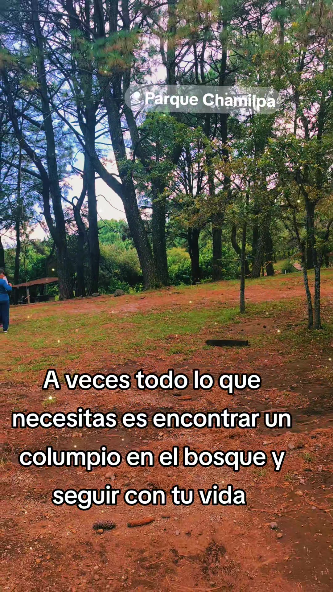 @Ivy Aldama