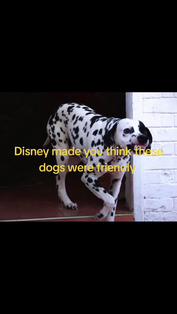 @𝑺𝒂𝒗𝒂𝒏𝒏𝒂𝒉