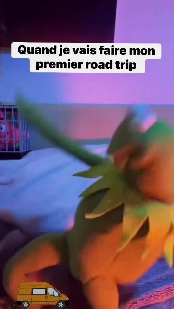 @Catcat
