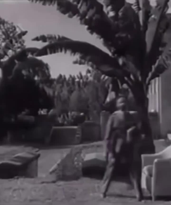 @አሪታ ጌታሁን
