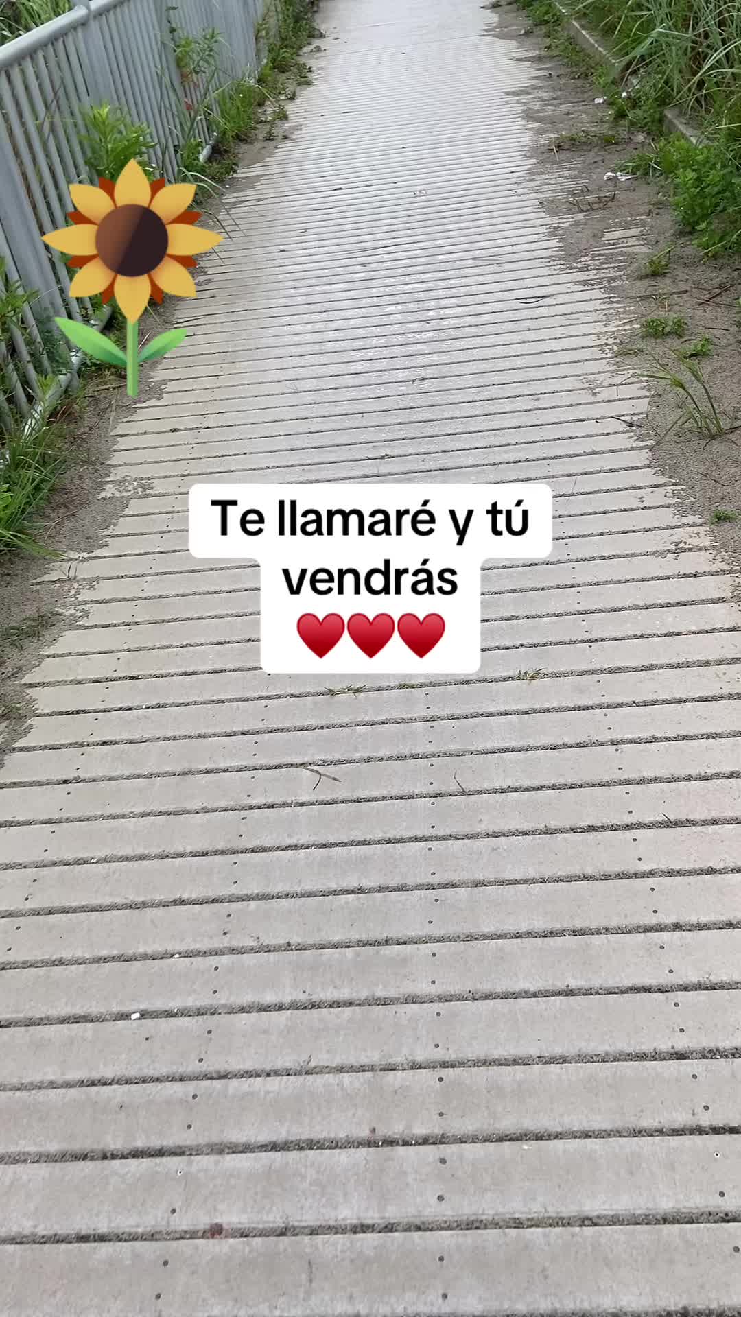@Zoila