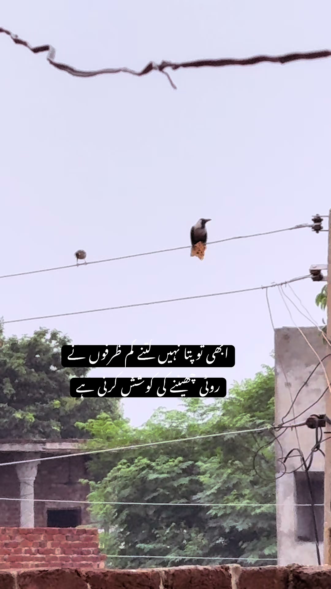 @faizbhatti1120