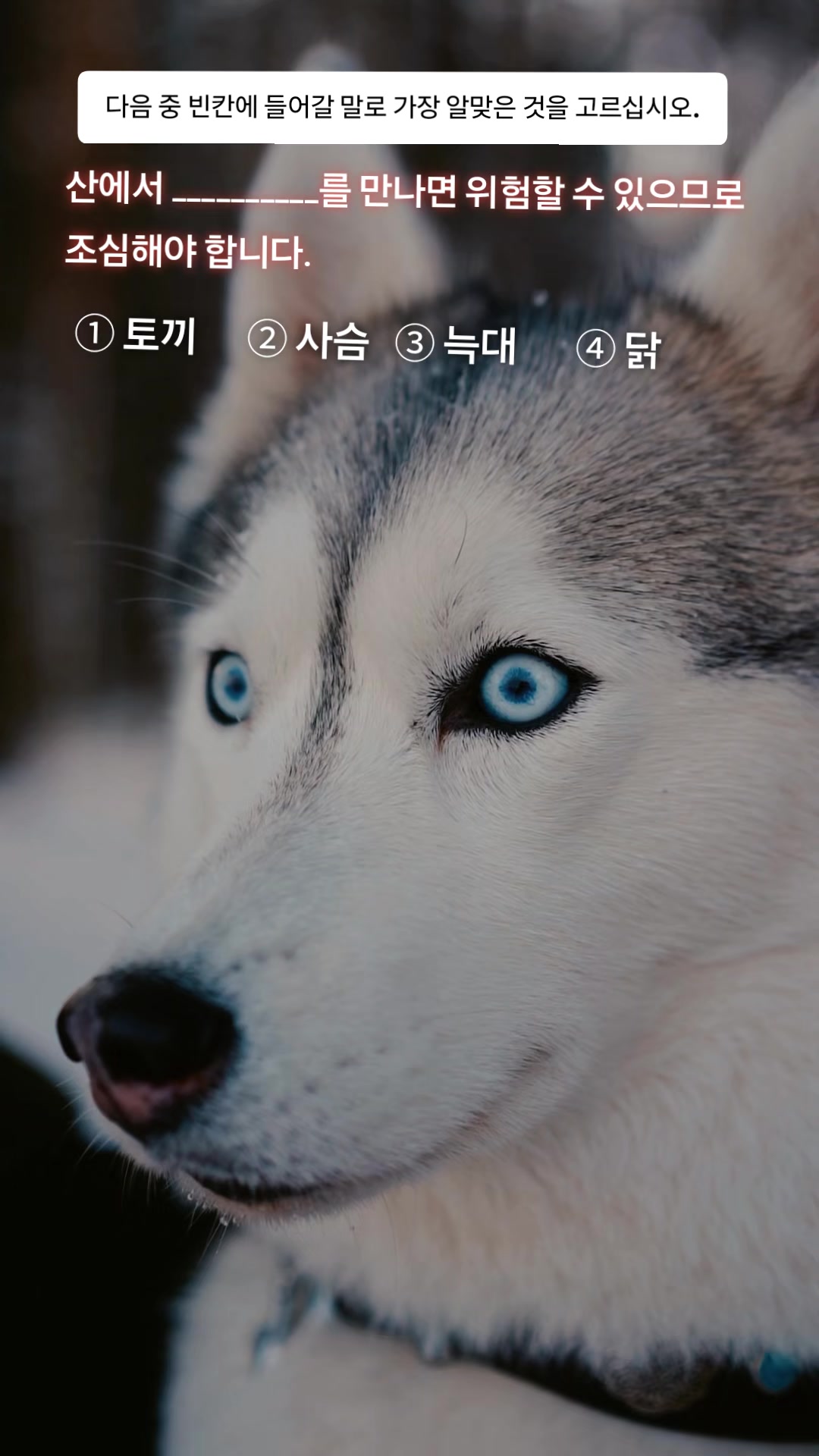 @🇳🇵 𝐔𝐫_𝐒𝐚𝐋𝐢𝐍_𝟎𝟕 🇰🇷