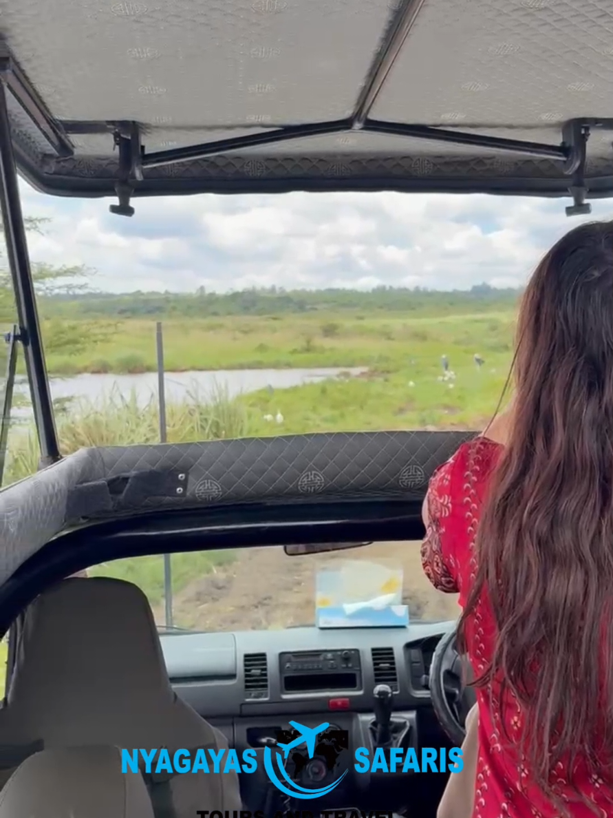 @Nyagayas Safaris 🤝