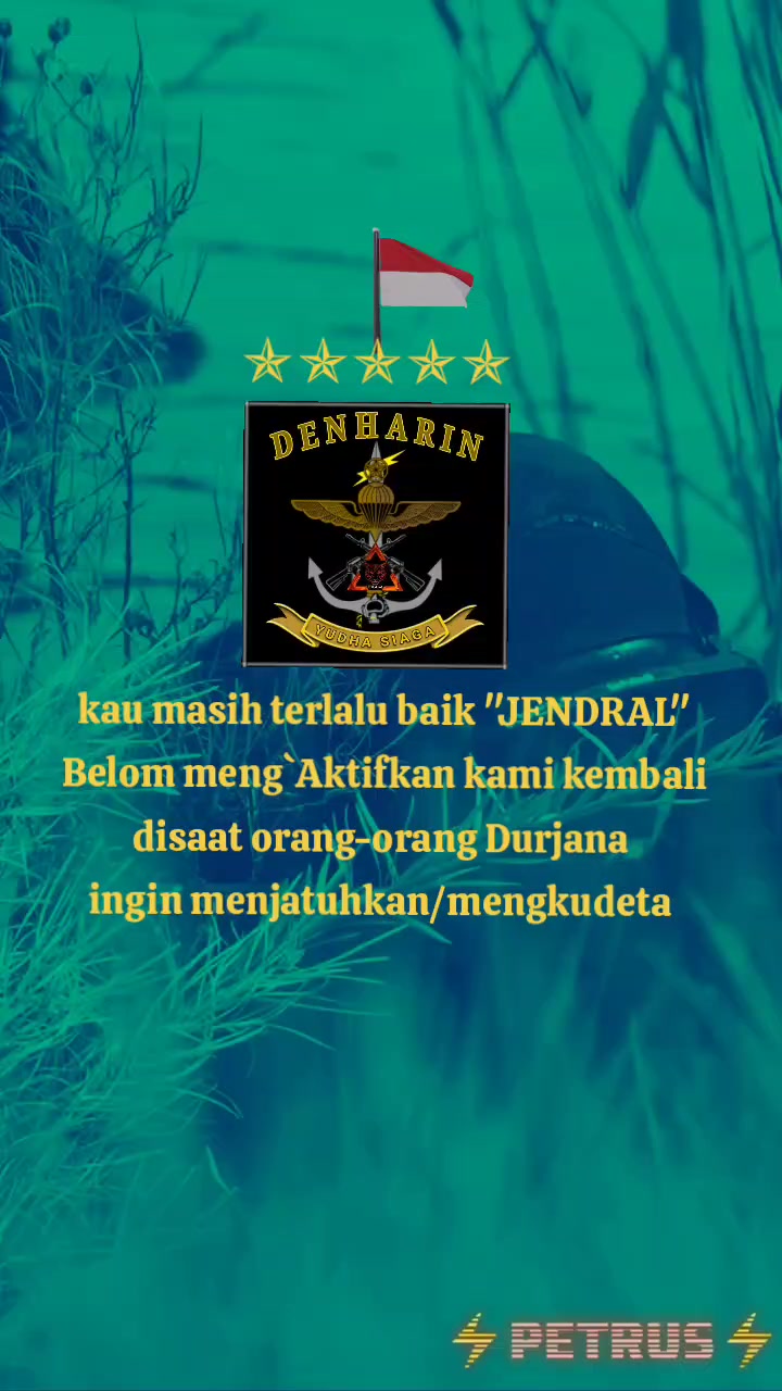 @▄︻̷̿┻̿petrus═━一