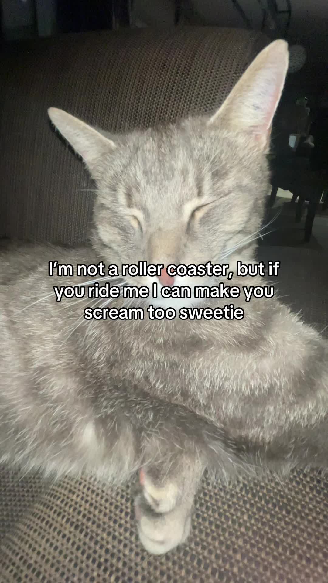 @Micky