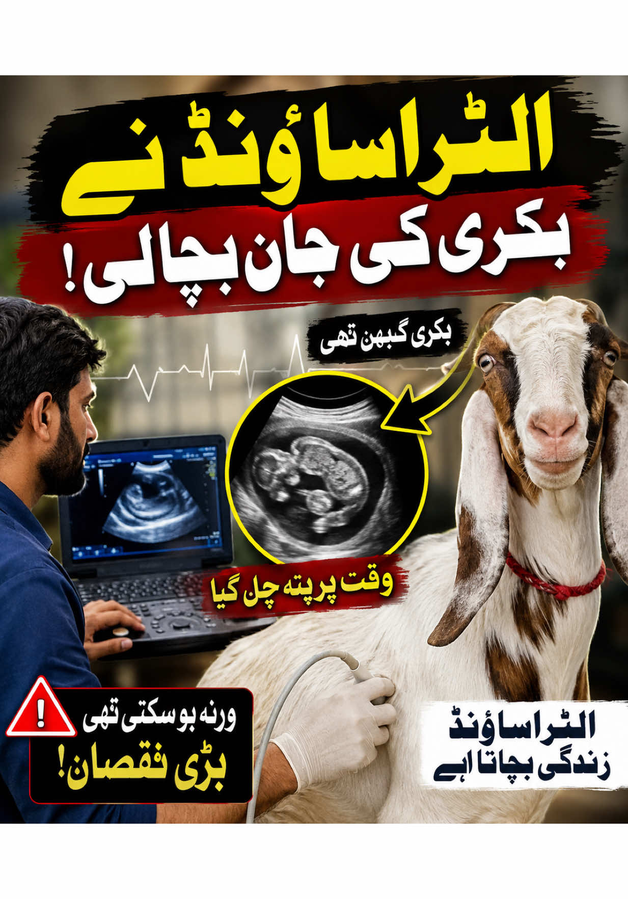 @Dr.Mohsin