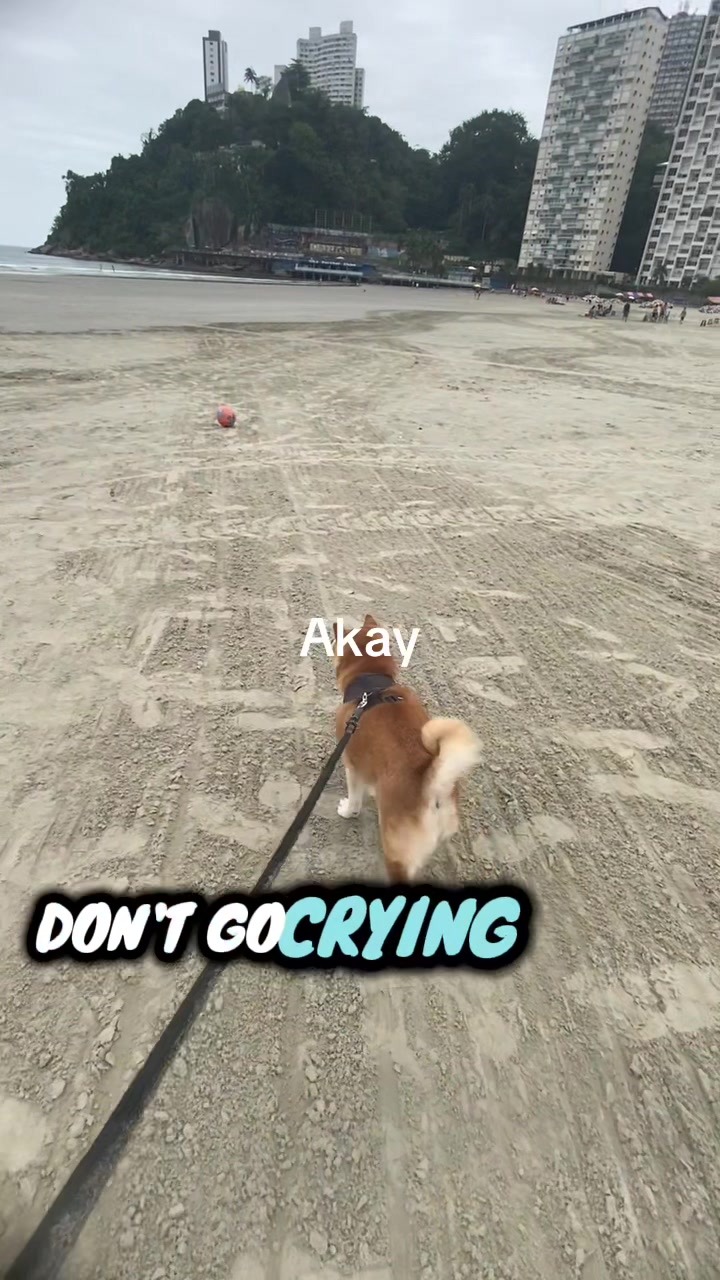 @Dj Nip