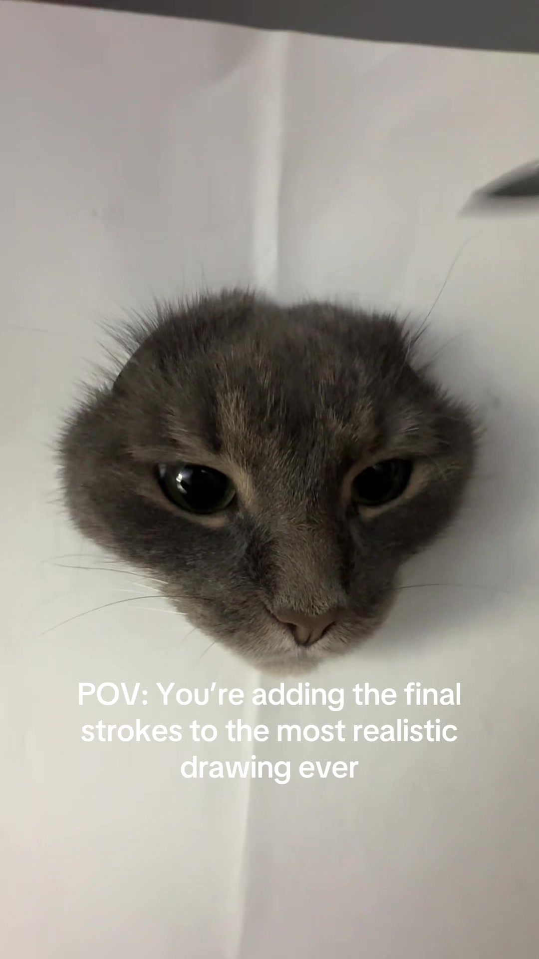@Pookie