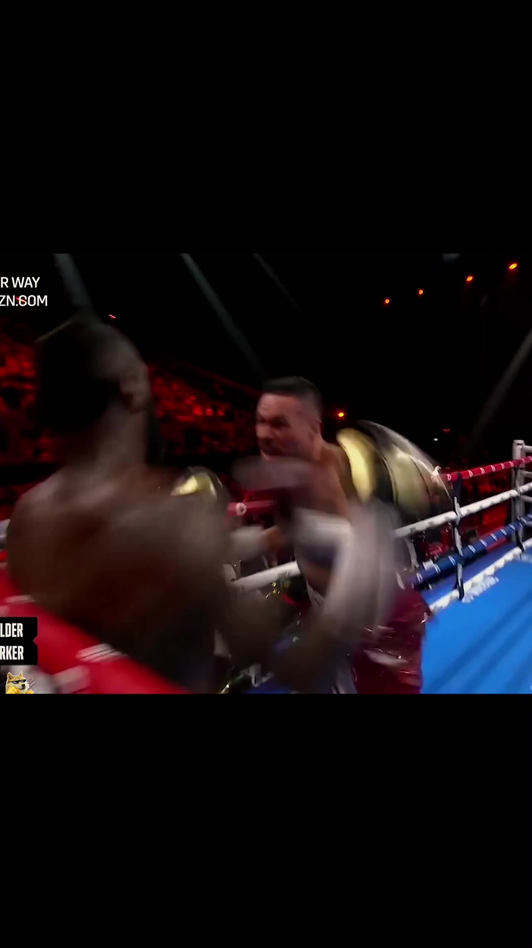 @boxingcat1