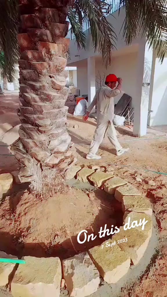 @azahrkhan5