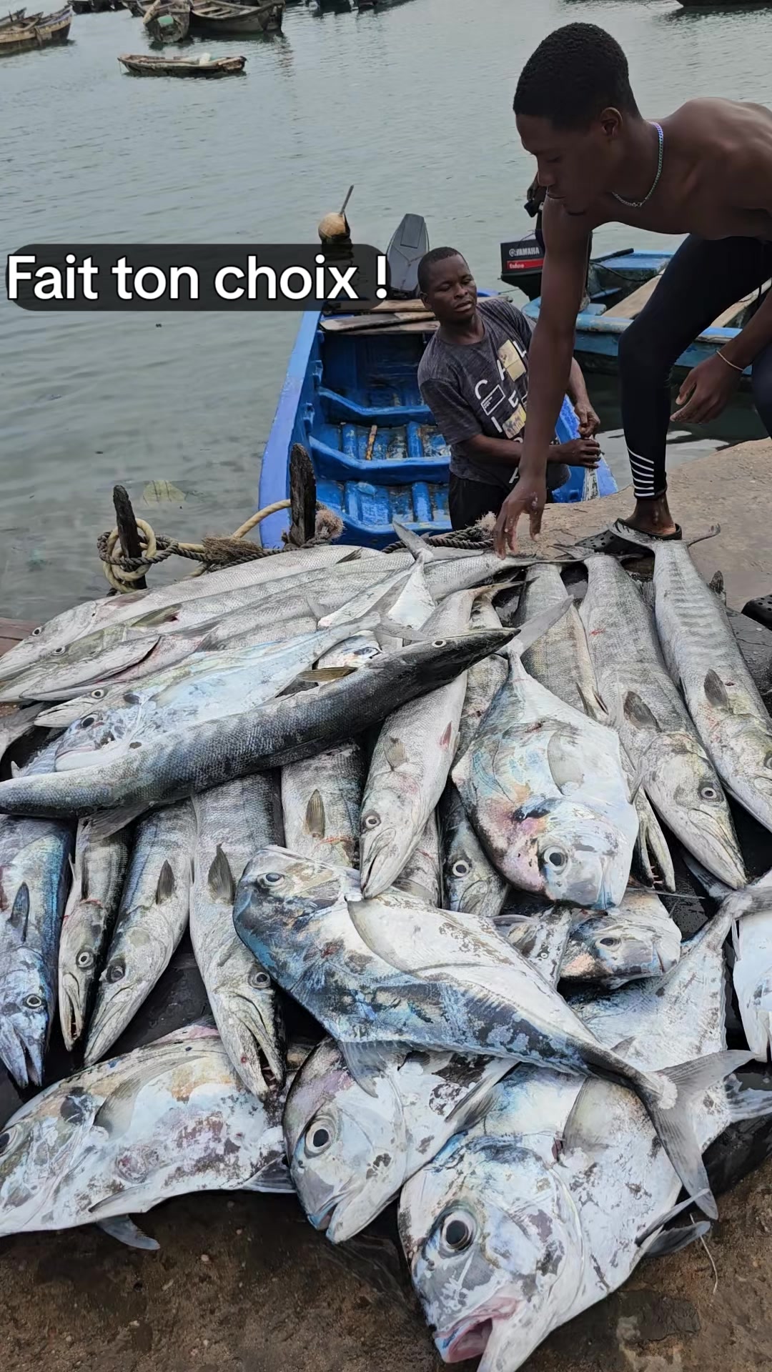 @Chasse Sous-Marine Bénin