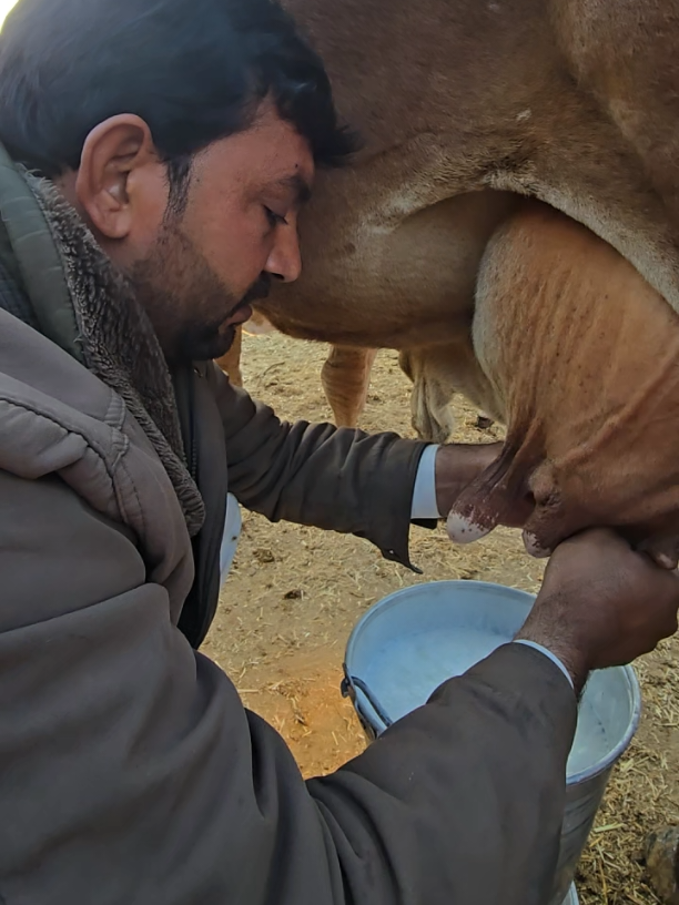 @Waqas Rohi wala