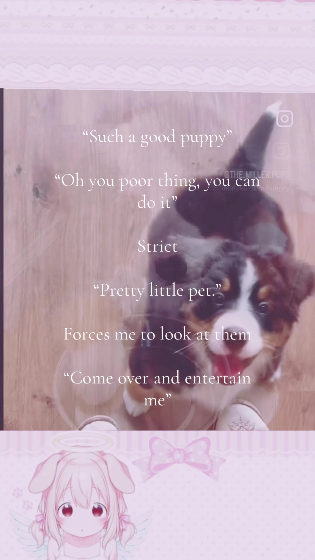 @mimi🐾