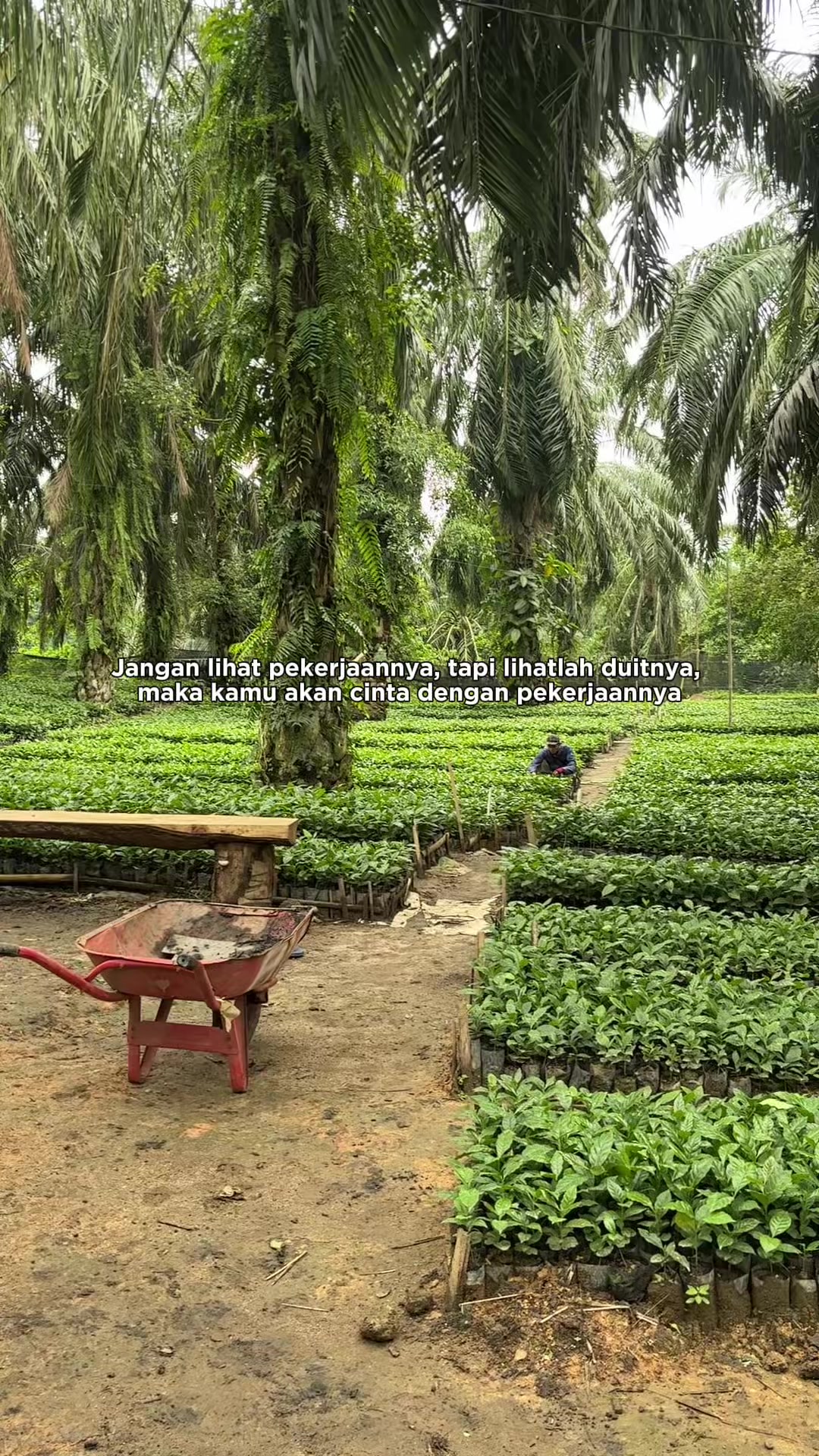@ikhsansann