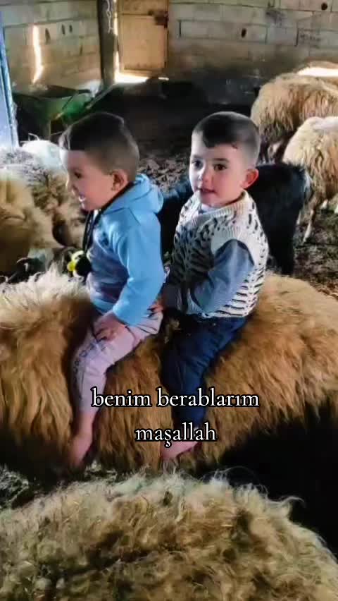 @baba yorgun 8282