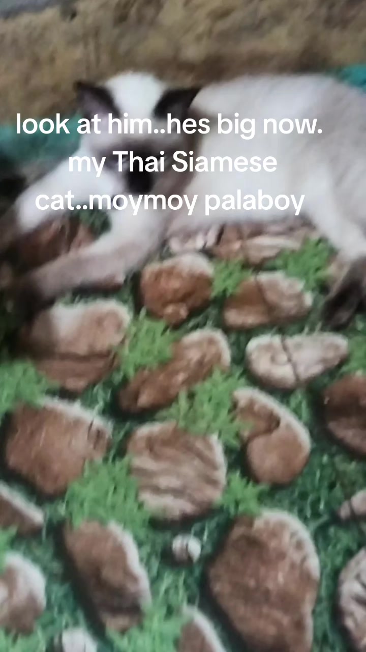 @caroline1215