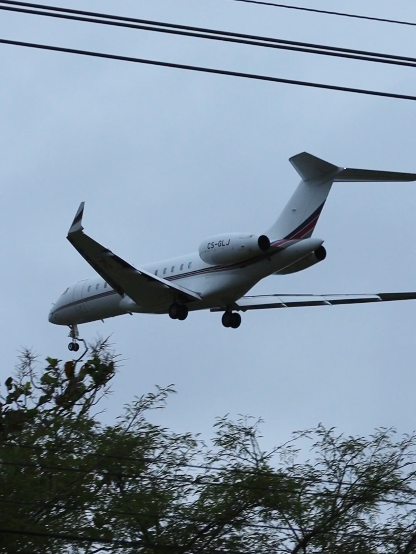 @Oswaldmanuel_Aviation