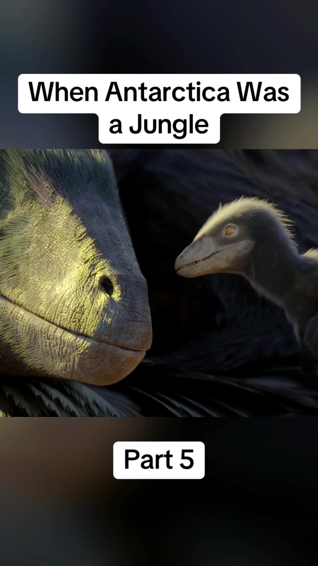 @DonkiGeo