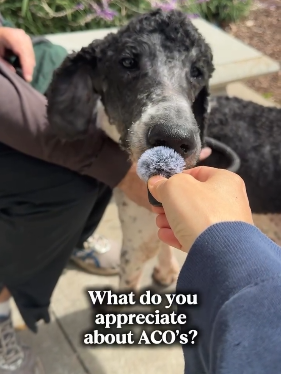 @Oakland Animal Services