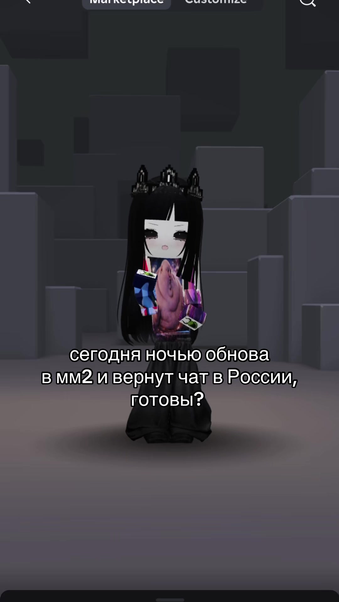 @dipsi1855