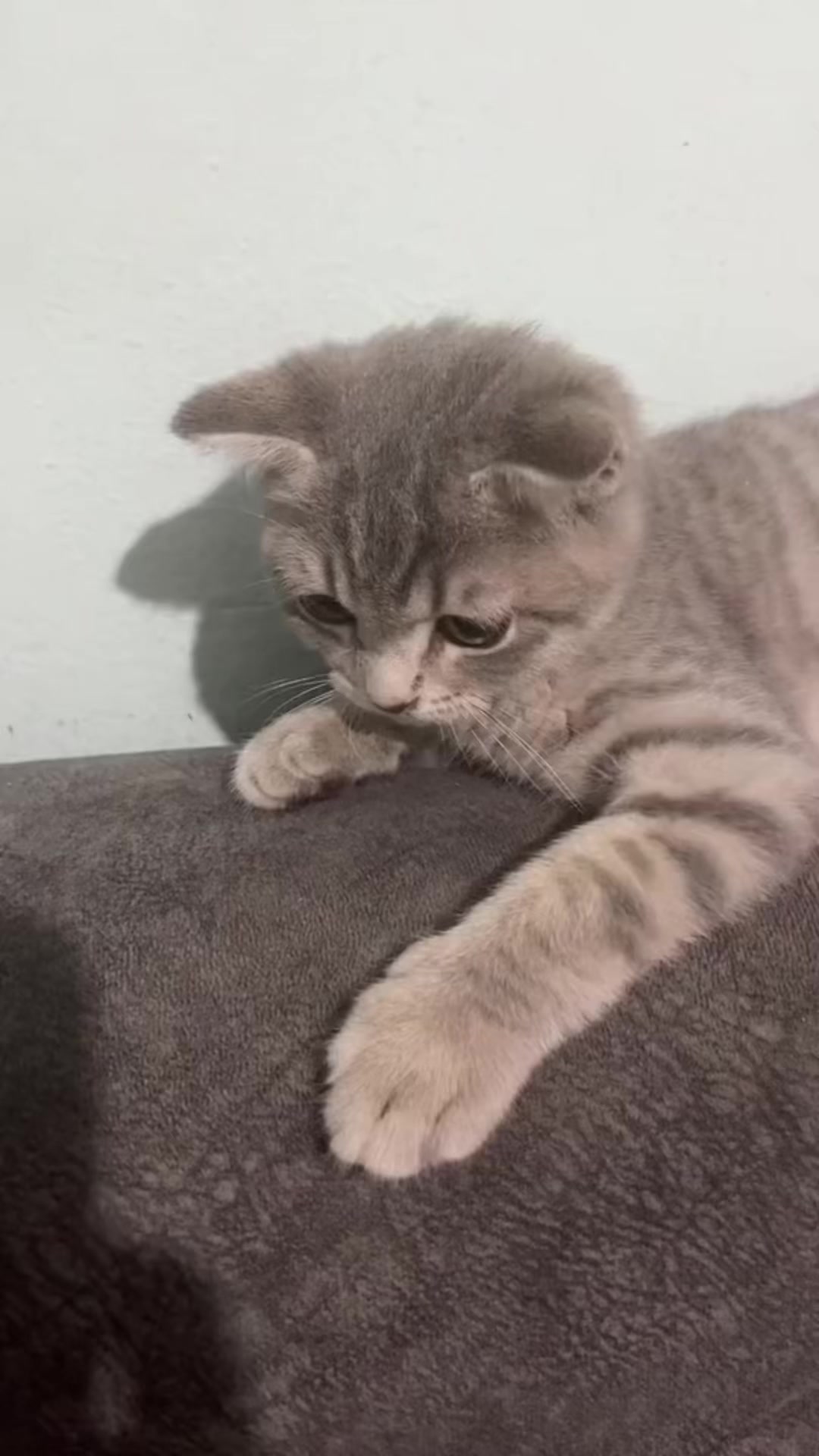 @๐ด๐
๐ท๐ฐ๐ฝ ๐ถ๐พฬ๐บ๐ณ๐ด๐ผ๐ธฬ๐
