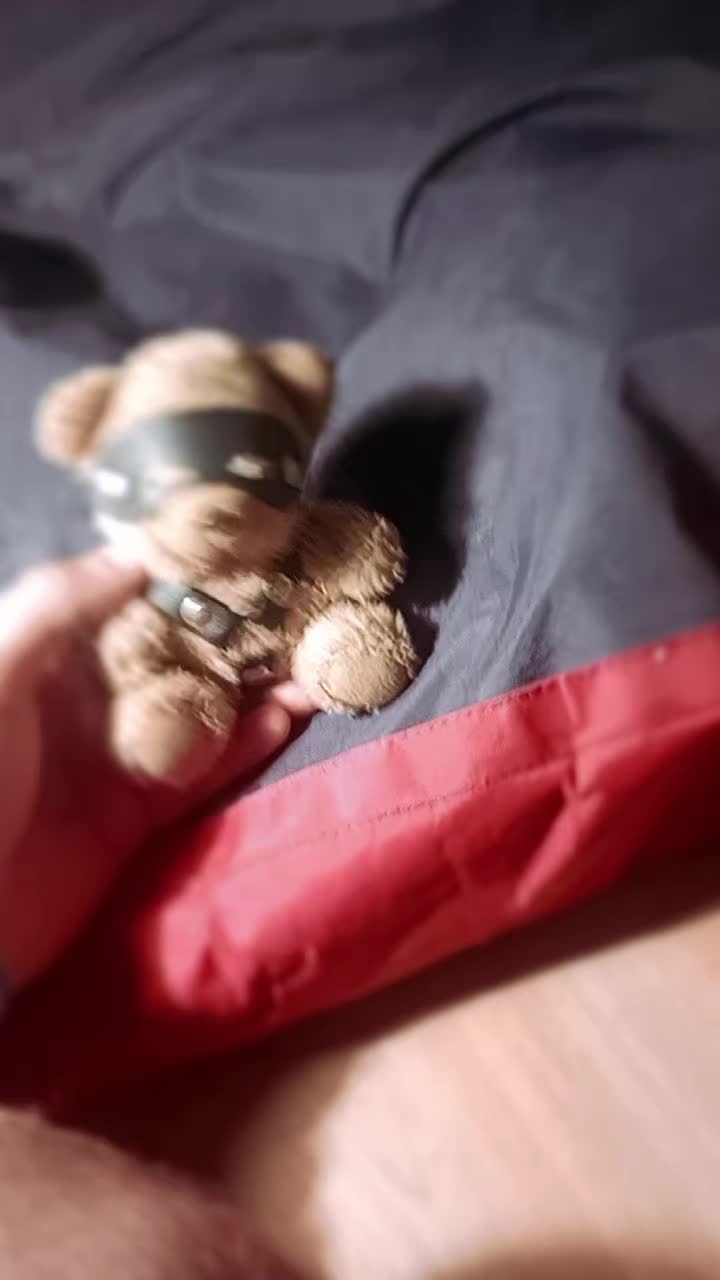 @๐ฝ๐๐๐๐๐ ๐ท๐๐๐๐