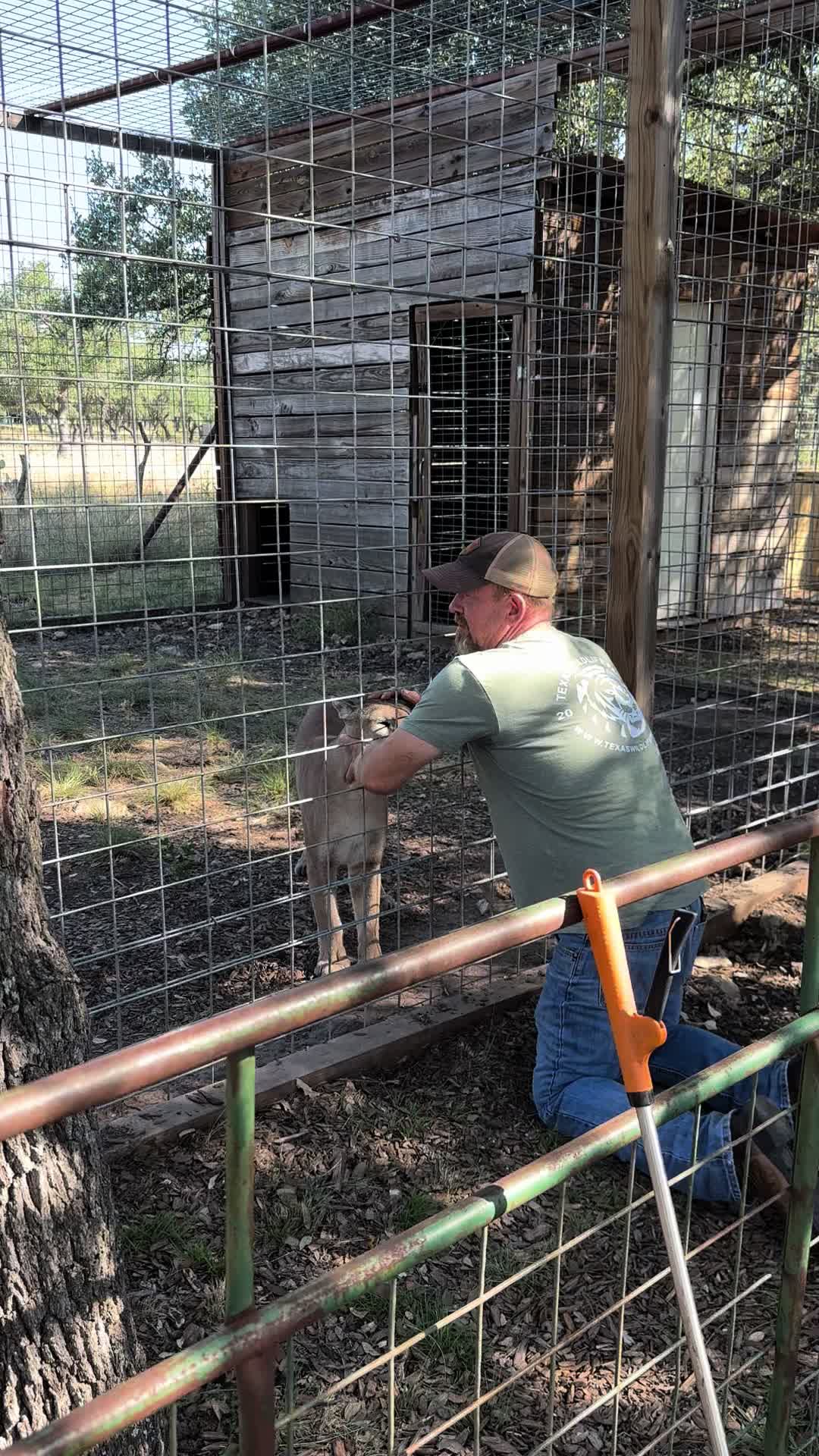 @Texas Wildlife Park