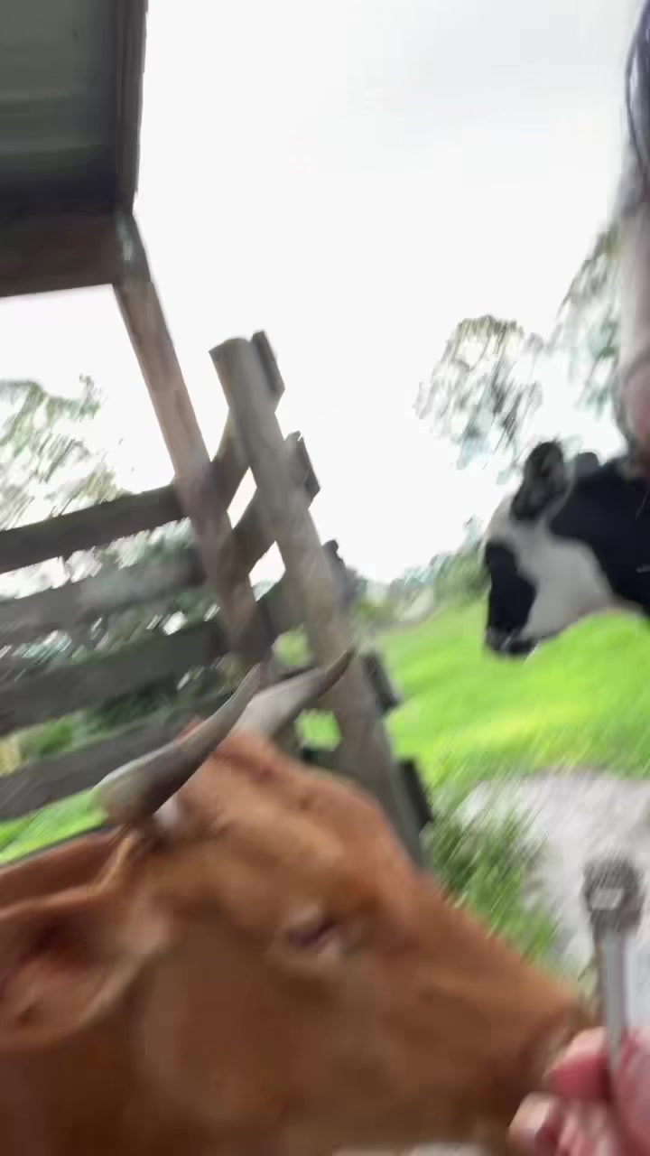 @Jamieee