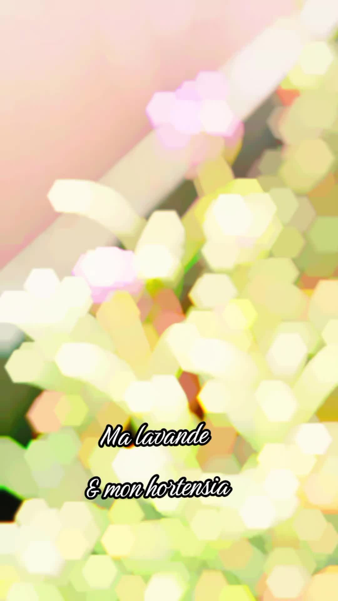 @𝘚𝘶𝘱𝘦𝘳 𝘗𝘩𝘪𝘯𝘰𝘶