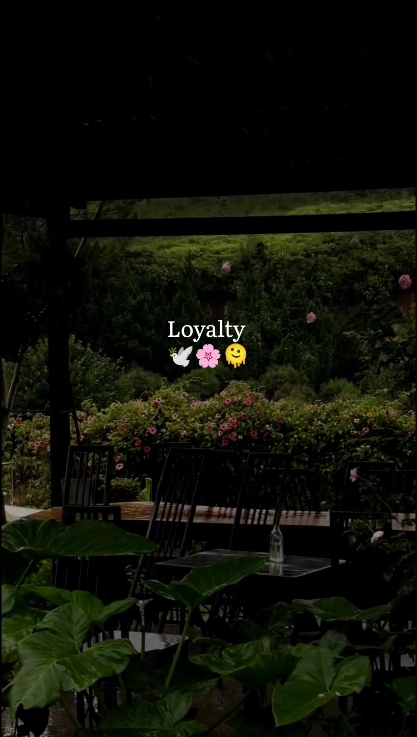 @𝘼𝙐𝙉 𝙓 𝙀𝘿𝙄𝙏𝙕