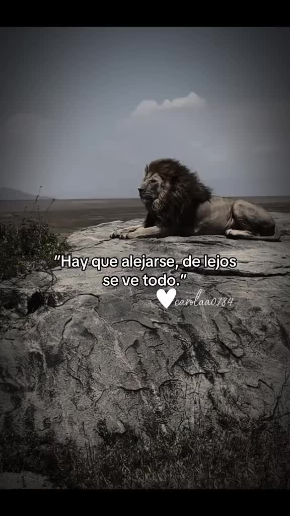 @Angel Tello