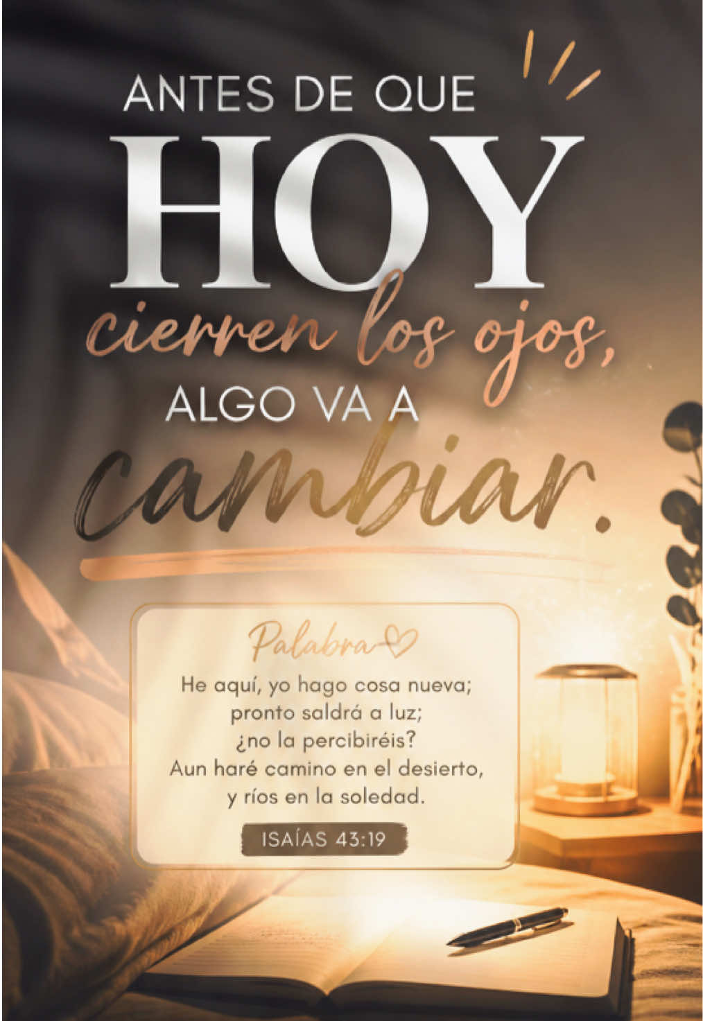 @Elisheba.oficial