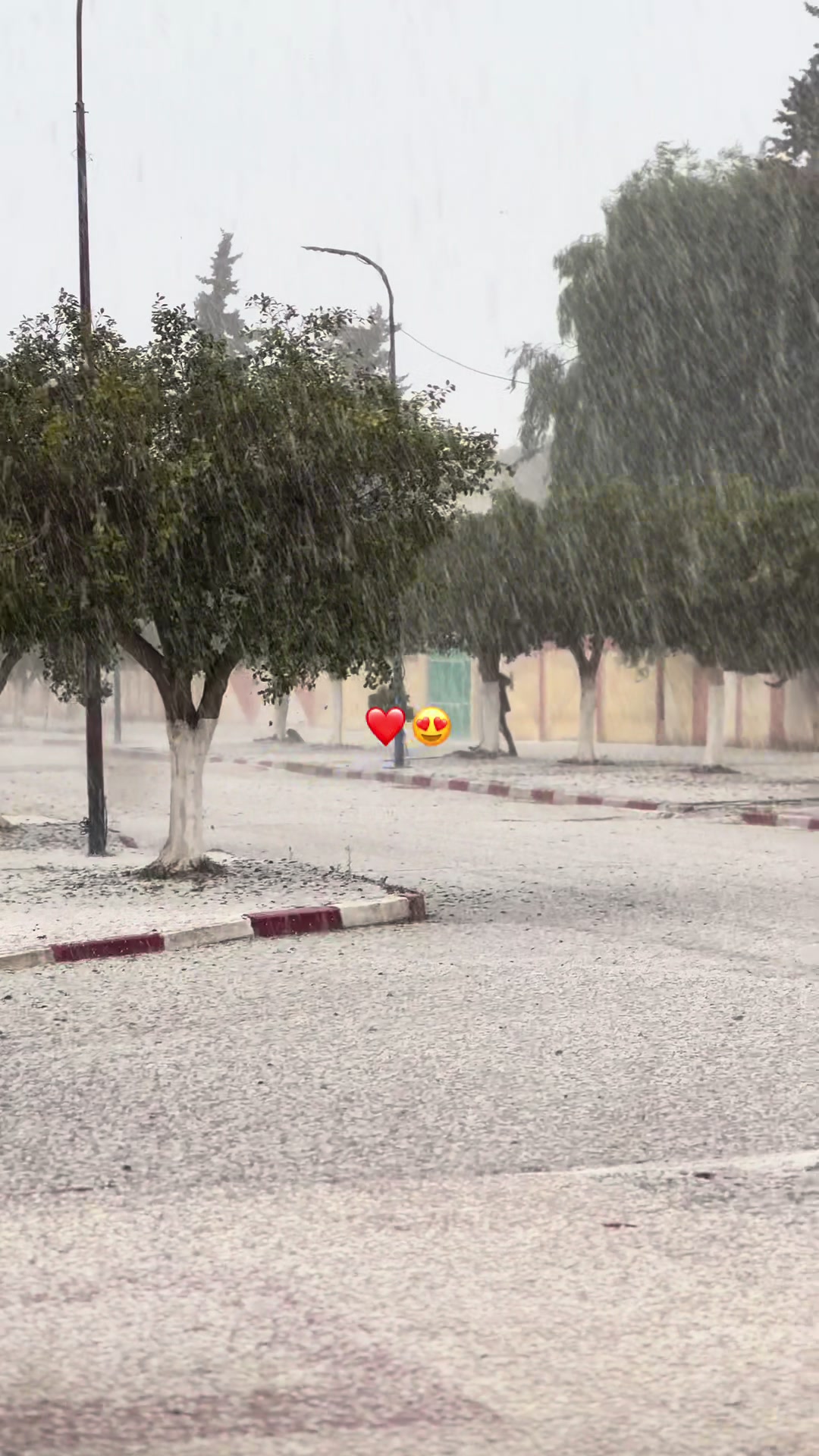 @๐’๐๐ฌ๐ญ ๐๐จ๐ฆ๐๐ง๐บ