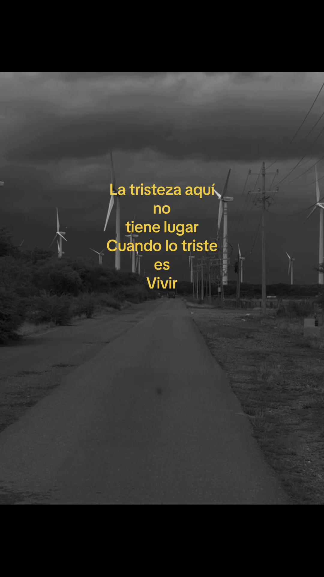 @𓆰 Manuel 𓆪