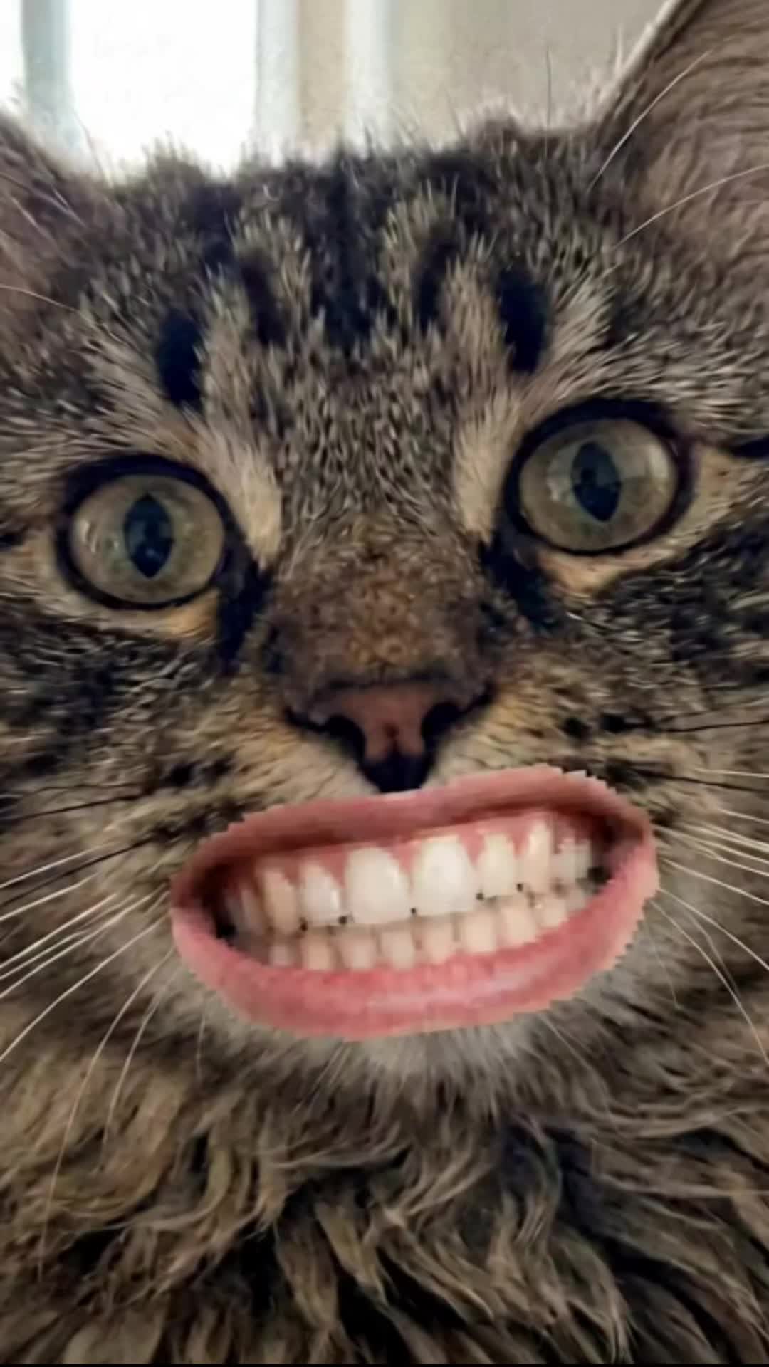 @strangerthanhell