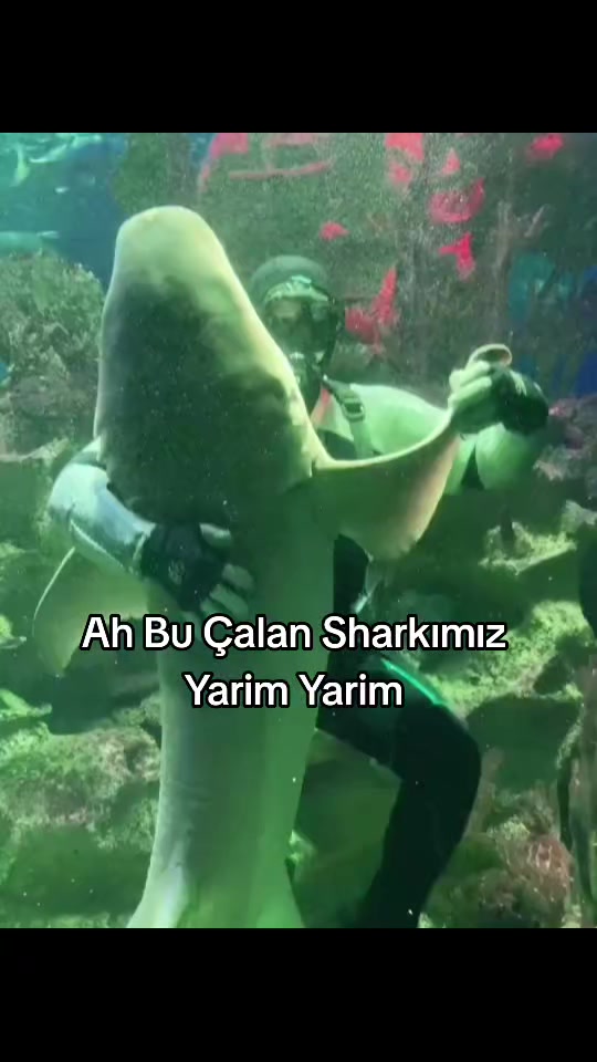 @Furkann27