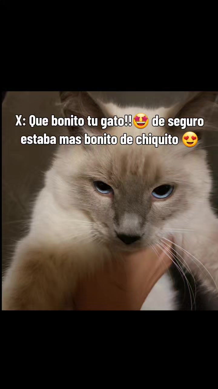 @Elpan05 🥖🥖