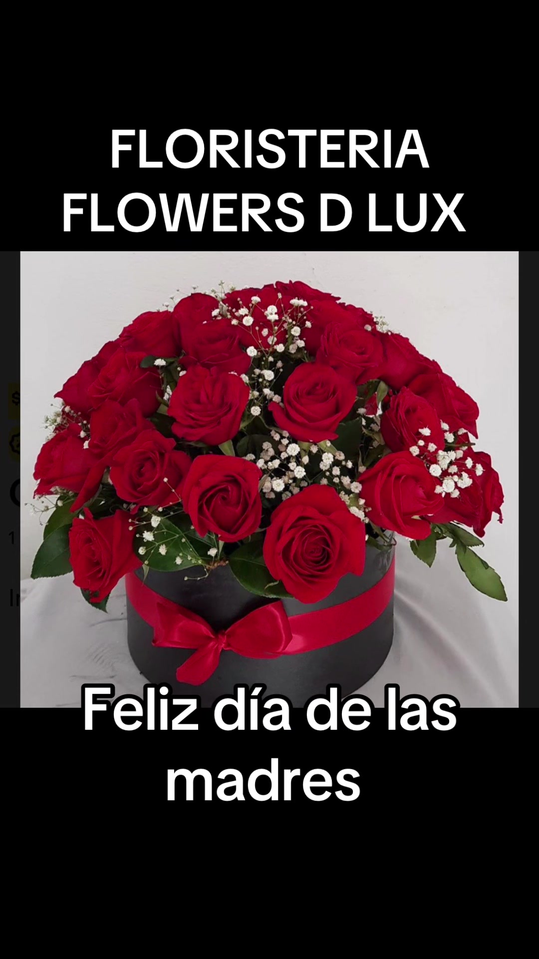 @LuzMovilla